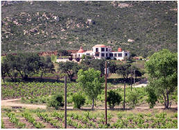 La Ruta del Vino.- Finca en Valle de Guadalupe