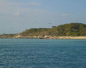 Vista de isla Contoy