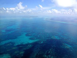 Vista aérea de los arrecifes del Banco Chinchorro
