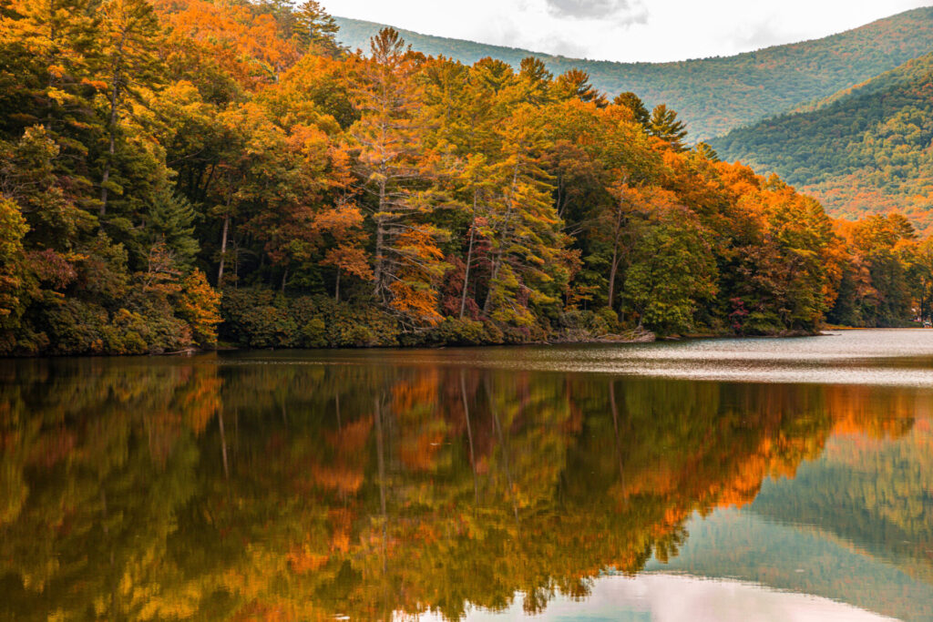 Blue Ridge Scenic Railway