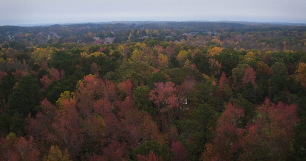 Blue Ridge Scenic Railway