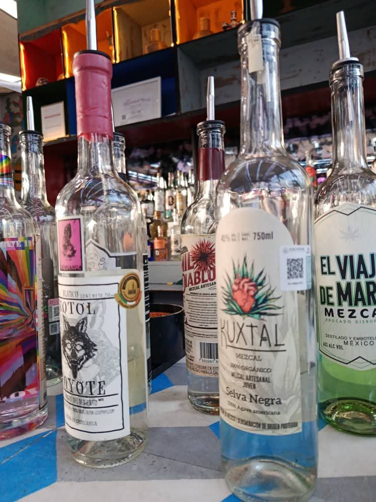 Mundo Mezcal