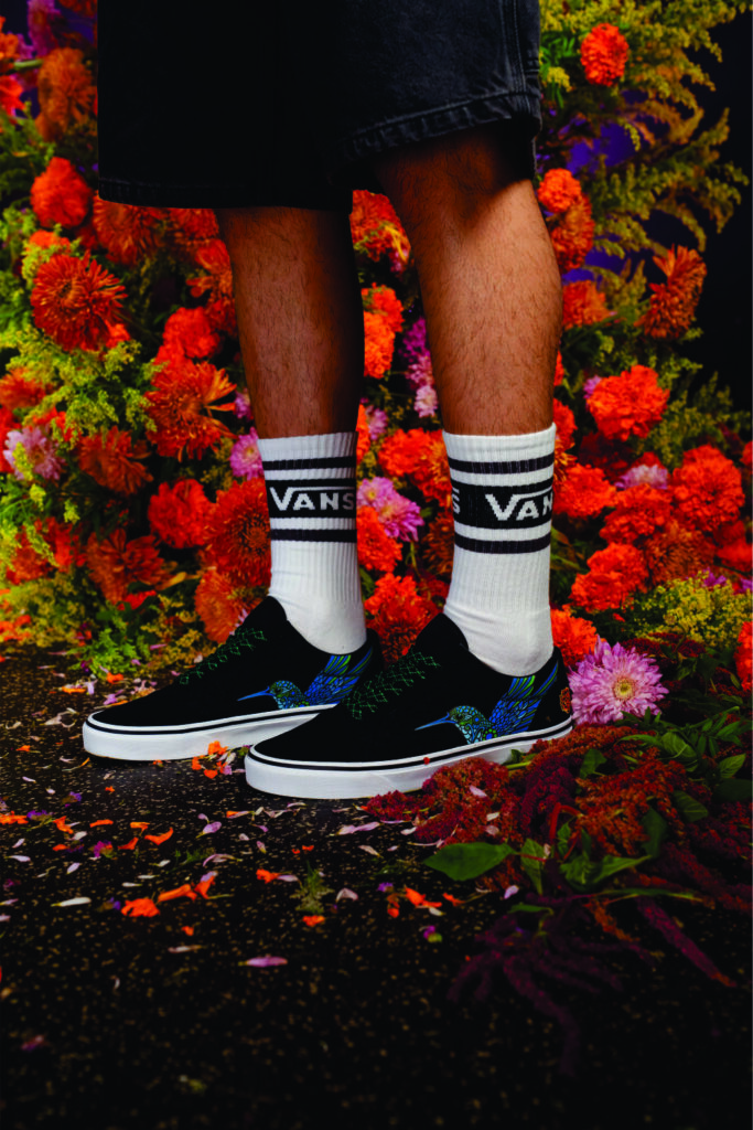 VANS-TAF